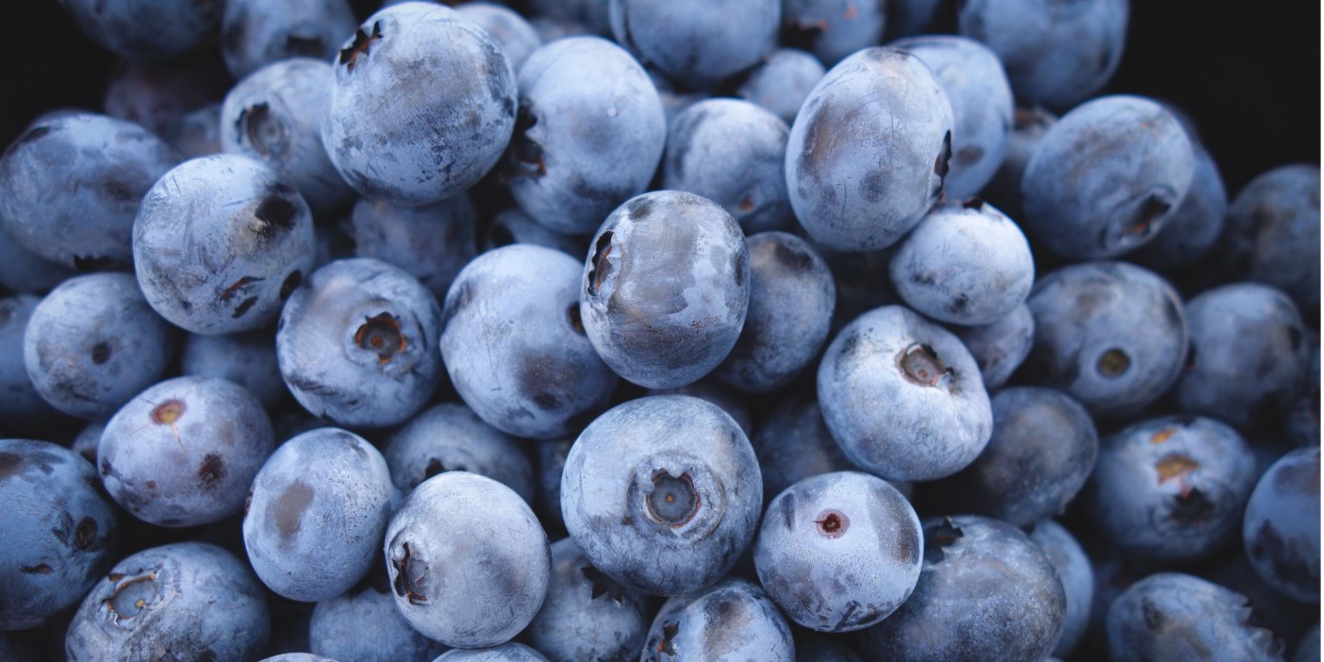 Blueberry